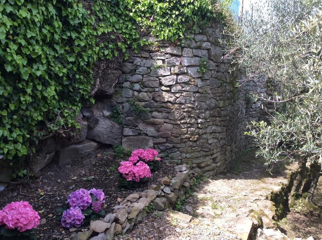Casa Vacanze Ada Fiesole Exteriör bild