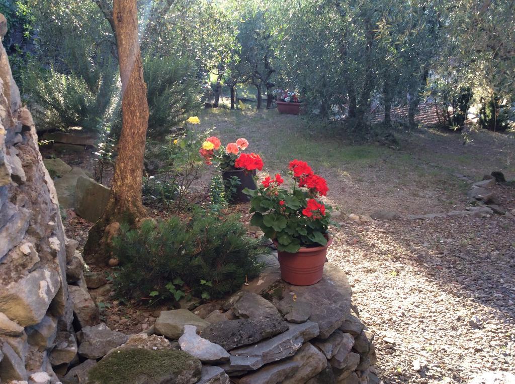 Casa Vacanze Ada Fiesole Exteriör bild